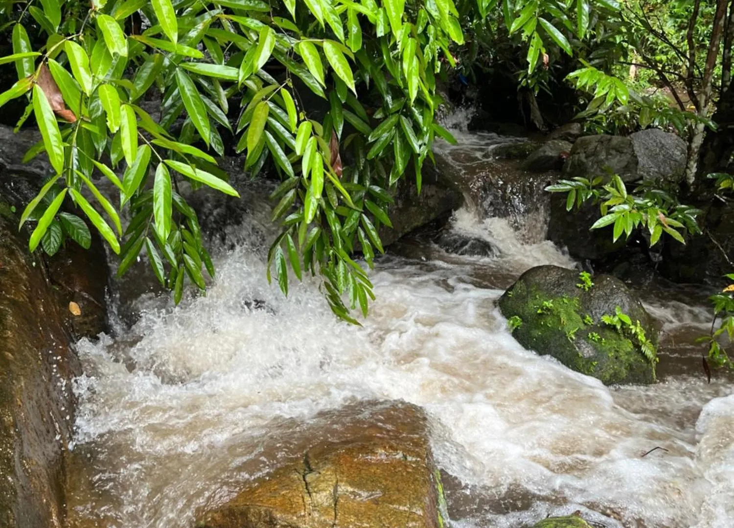 Manapurath Homestay Mamalakandam